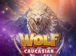 Caucasian Wolf